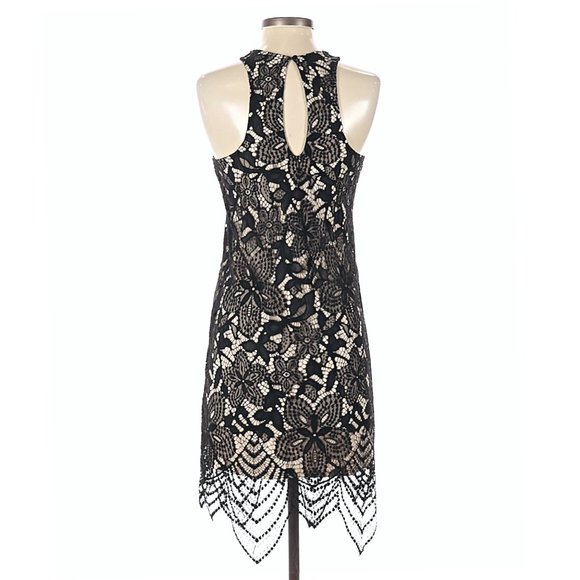 Express Women's Black Sheer Floral Lace Contrast Scalloped Hem Sheath Dress - Picture 6 of 13